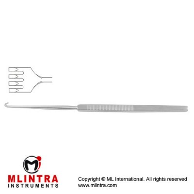 Wound Retractor 4 Sharp Prongs - Large Curve Stainless Steel, 16.5 cm - 6 1/2" Width 14.0 mm